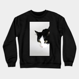 Sniffs Crewneck Sweatshirt